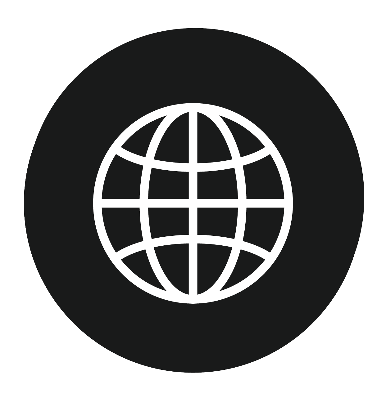 Globe icon
